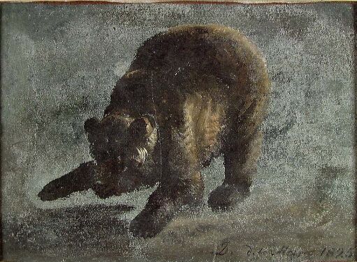 Study of a Bear