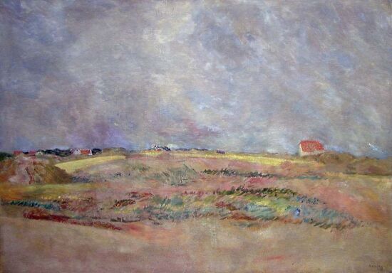 Skagen-landskap