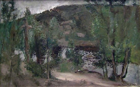 Børtebekken in Rain