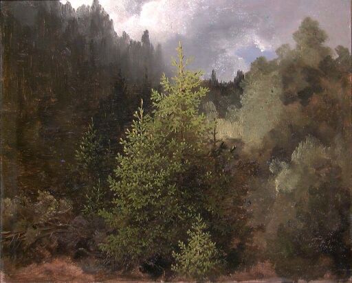 Study of Trees