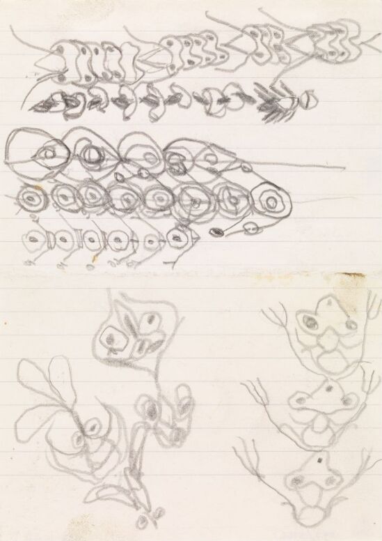 Mønstre; plantestudier