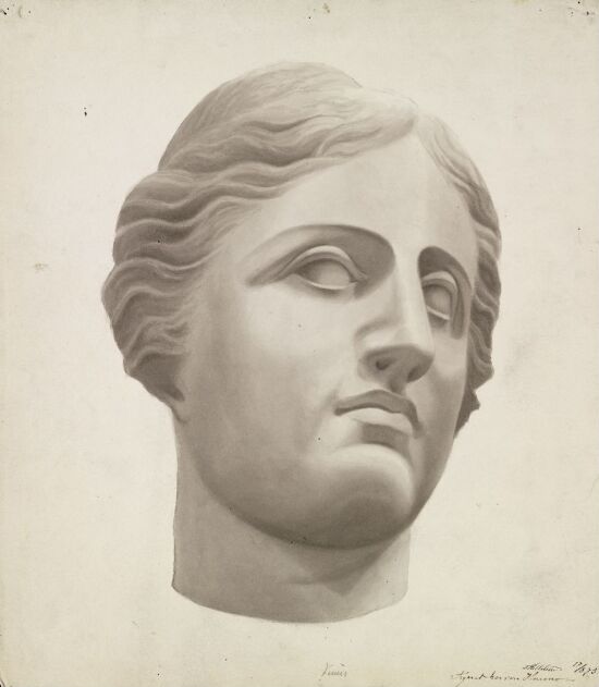 The Head of Venus de Milo