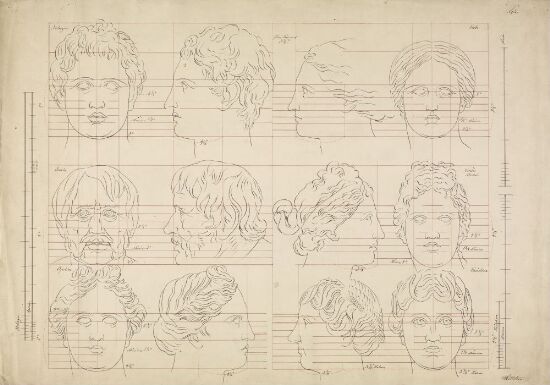 Klassiske hoder, proporsjonsstudier