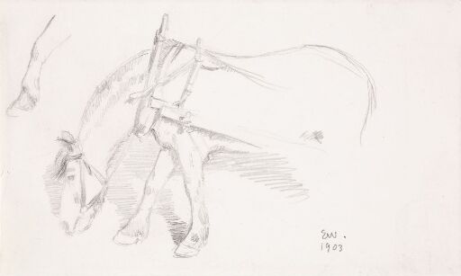 Hest