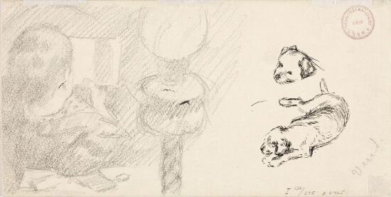 Lesende mann; hundevalp