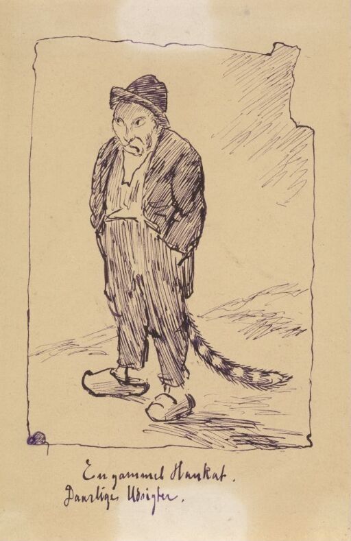 En gammel hannkatt