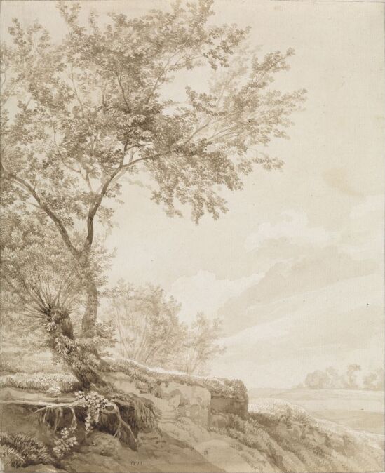 Landskap med løvtre