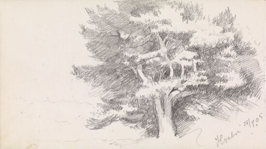 Pine Tree, Hvaler