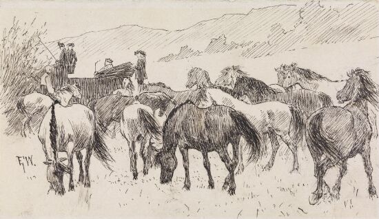 Kongen spurte gjetergutten, hvem de røde og blakke og blå hestene hørte til..