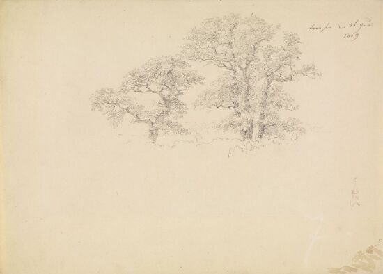 Studie zweier Laubbäume und einer Kirche