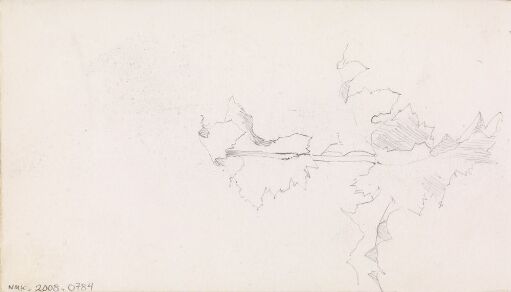 Study of Leaves