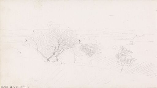 Coastal Landscape