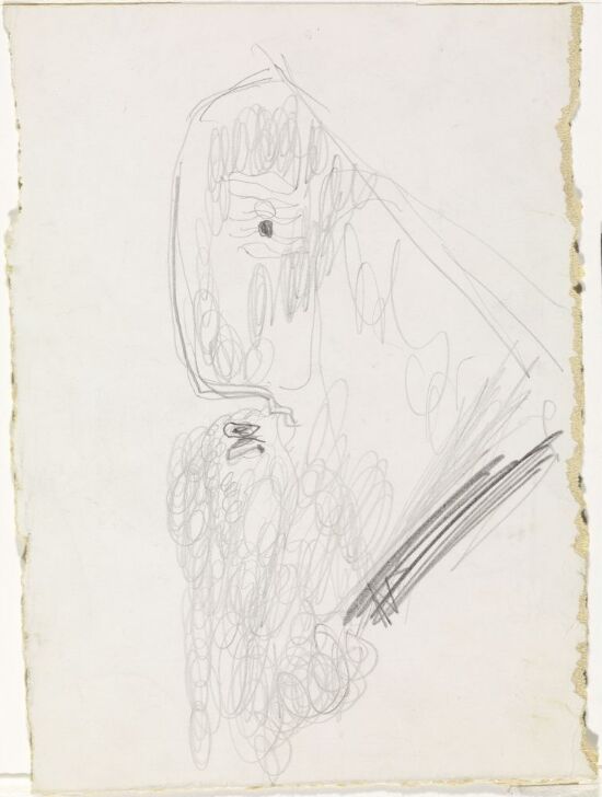 Mannshode, profil mot venstre