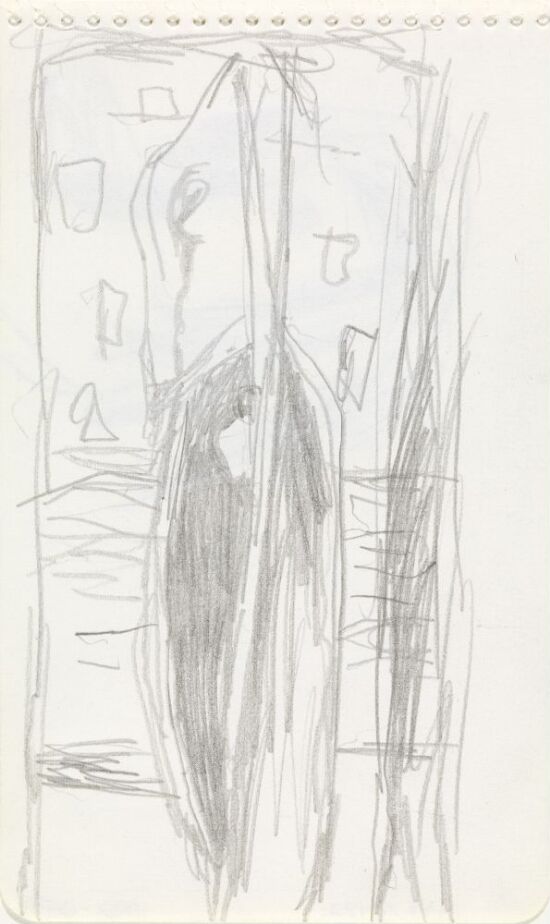 Mannshode med skjegg