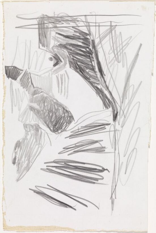 Hode, profil mot venstre