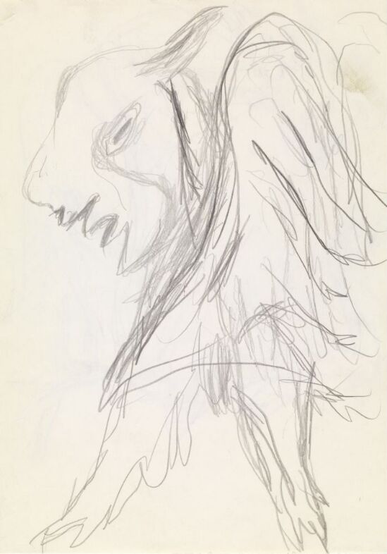 Fantasidyr med vinger