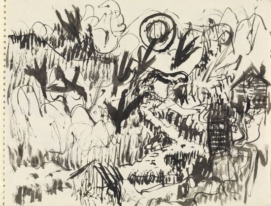 Fjellandskap med gård