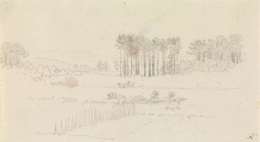 Landschaft mit hohen Kiefern und Pferdewagen