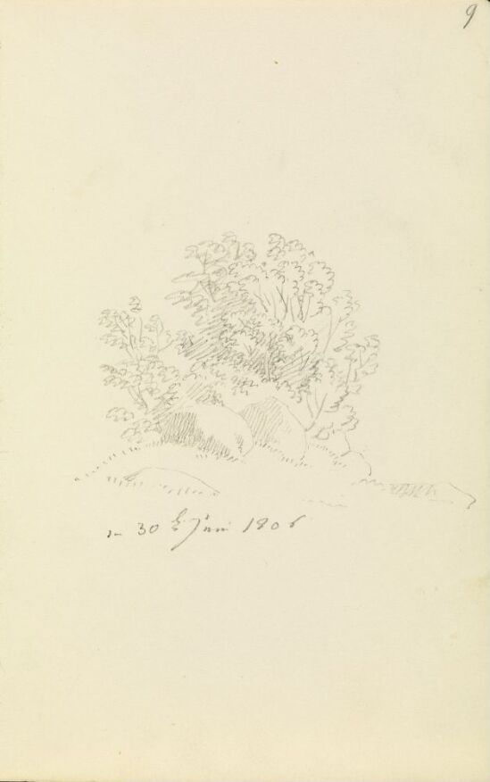 Megalittgrav og busker