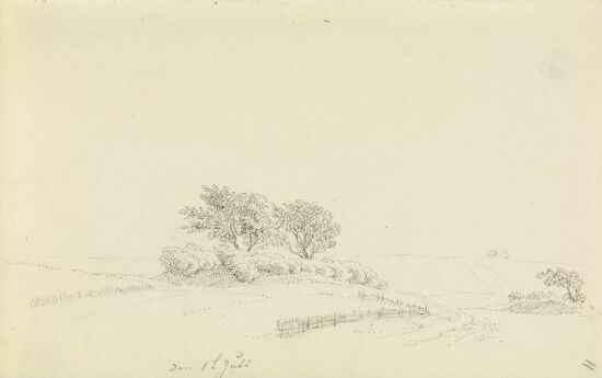 Altes Hügelgrab mit Baumbestand