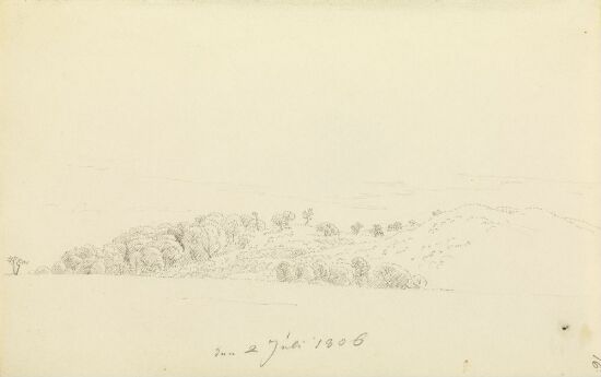 Rügisk landskap med trær