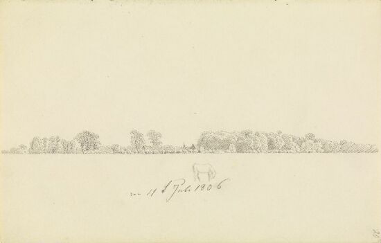 Skoglandskap med hus og hest