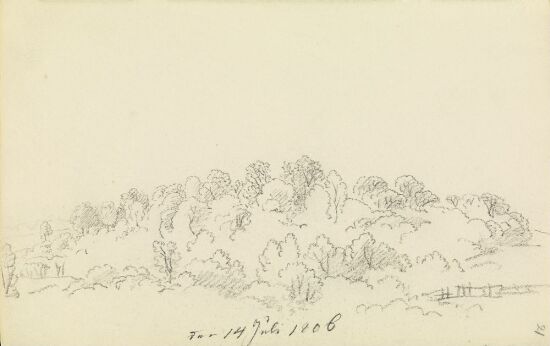 Landskap med trær og kratt