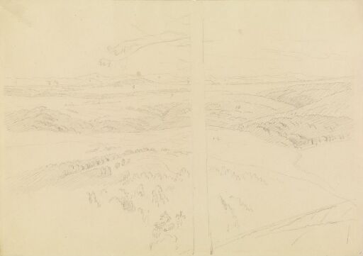 Trestamme foran et landskap