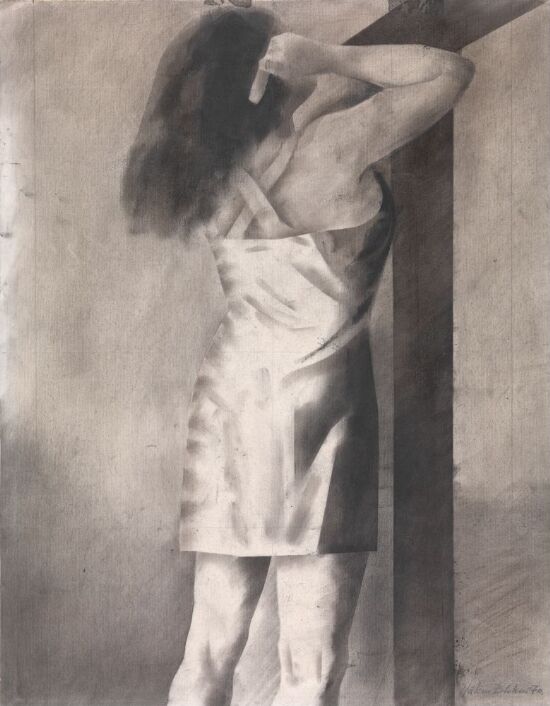 Fra serien "Fragmenter av et diktatur"