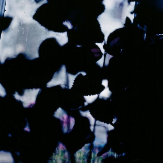 Slik at jeg fikk hele utsikten inn i øynene