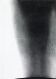 Untitled (Large Reproduction of Photocopy) No. 5