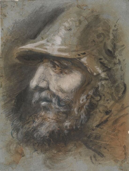 Skjegget mannshode med hjelm