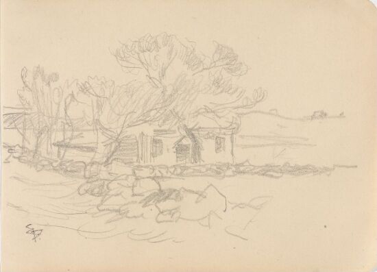 Hus bak piletre og steingjerde, Buøya