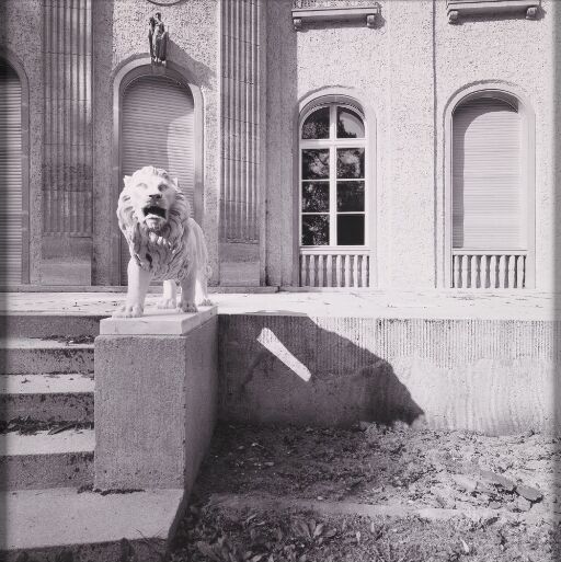 Villa Wannsee - Melancholy Grandeur # 37