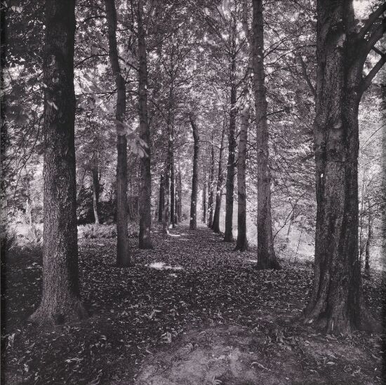 Villa Wannsee - Melancholy Grandeur # 40