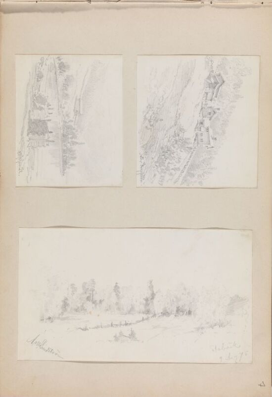 Fjellgård; Hus ved vann; Skogholt