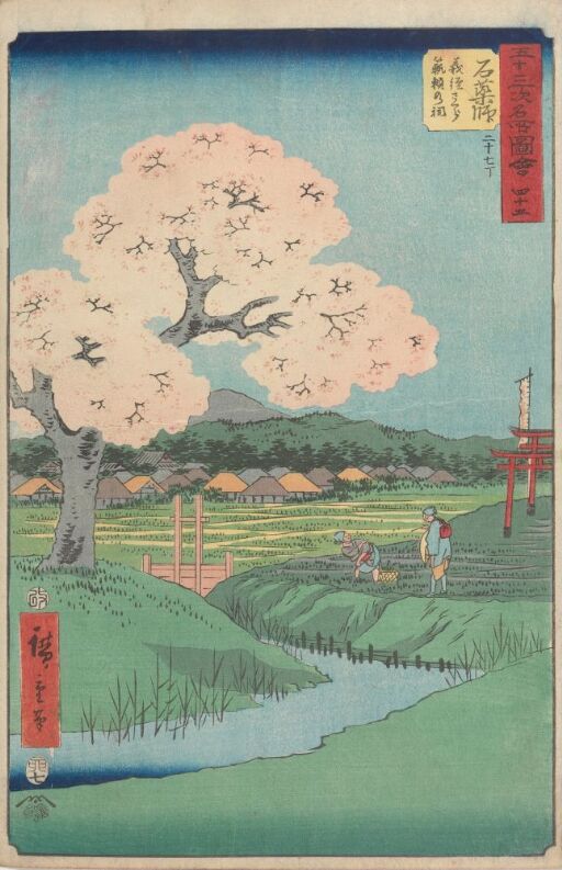 Ishiyakushi: Yoshitsune's Cherry Tree and the Shrine of Noriyori