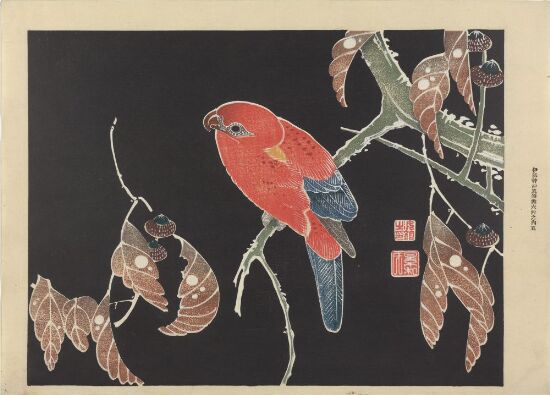 Papegøye, etter Itô Jakuchû