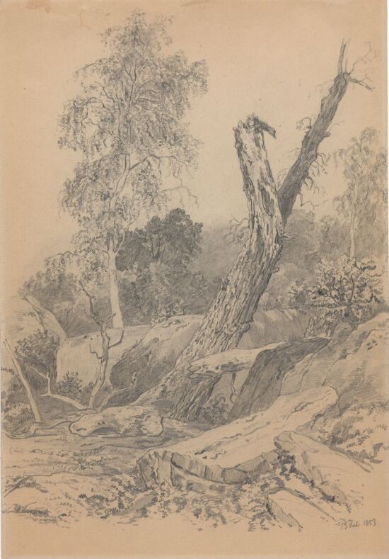 Mellomeuropeisk landskap