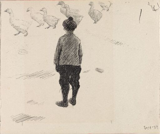 Boy looking at a Gaggle of Geese