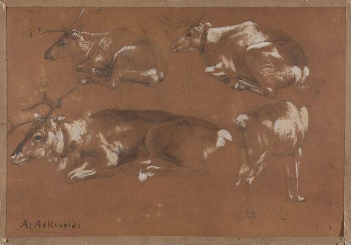 Study of four Reindeers