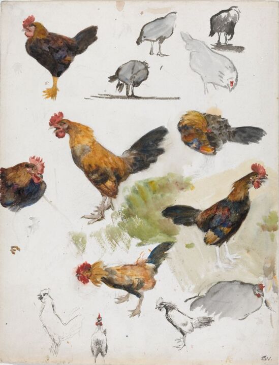 Haner og høner. Studie til maleriet "Haneslagsmålet"