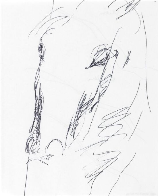 Riss av et hestehode