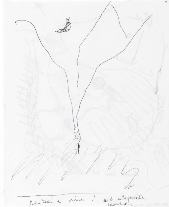 Reisen inn i det ukjente...