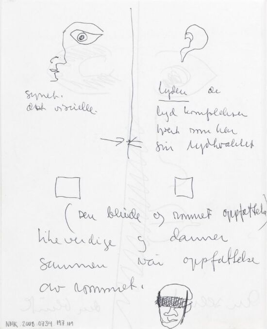 Synet. Det visuelle...