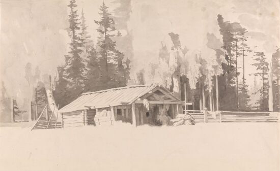 Utløe i skogkanten