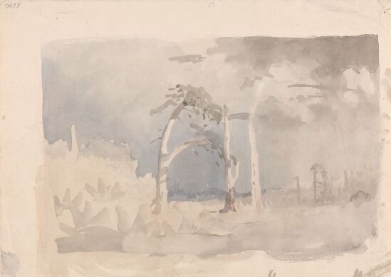 Øde landskap med trær