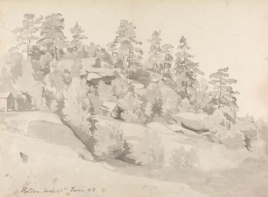 Furuer på fjellgrunn