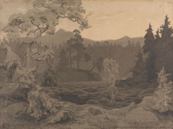 Woodland Scene