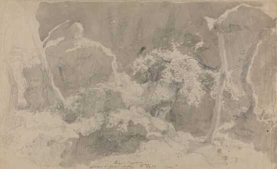 Forest and Rocks